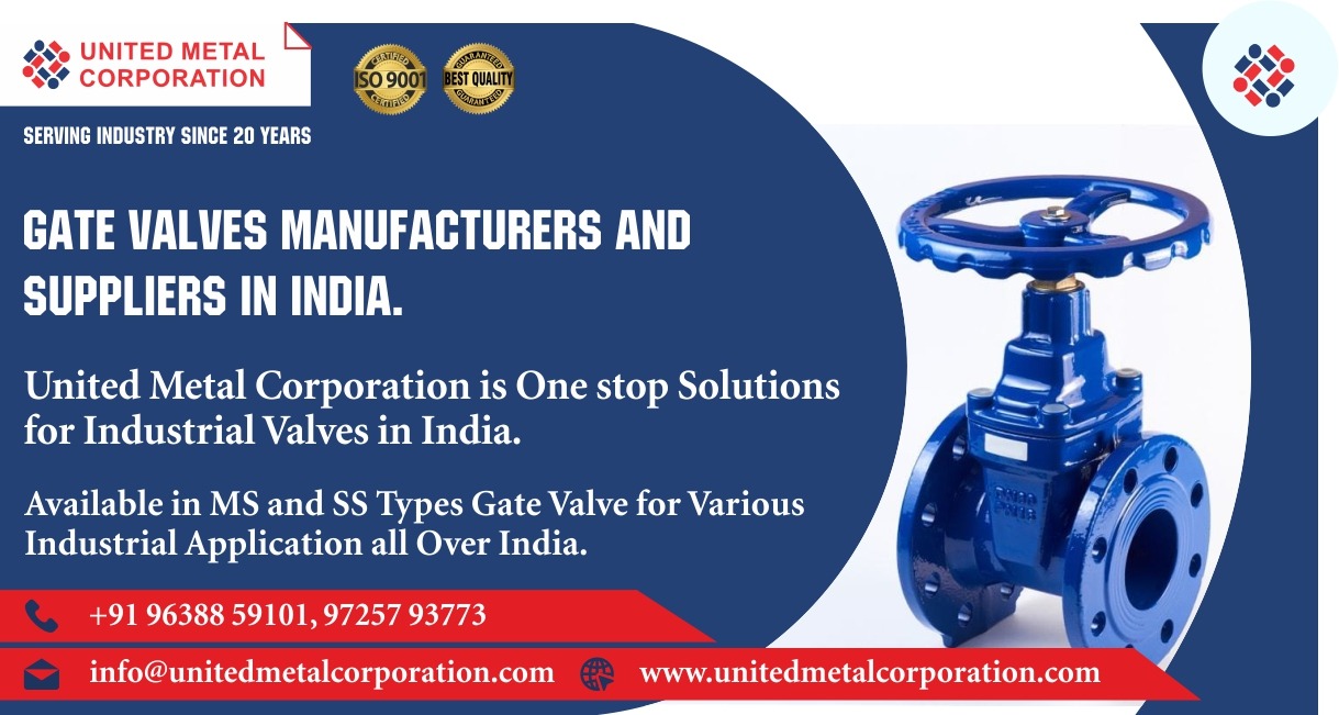 Gate Valves Manufacturer & Suppliers in Gujarat.