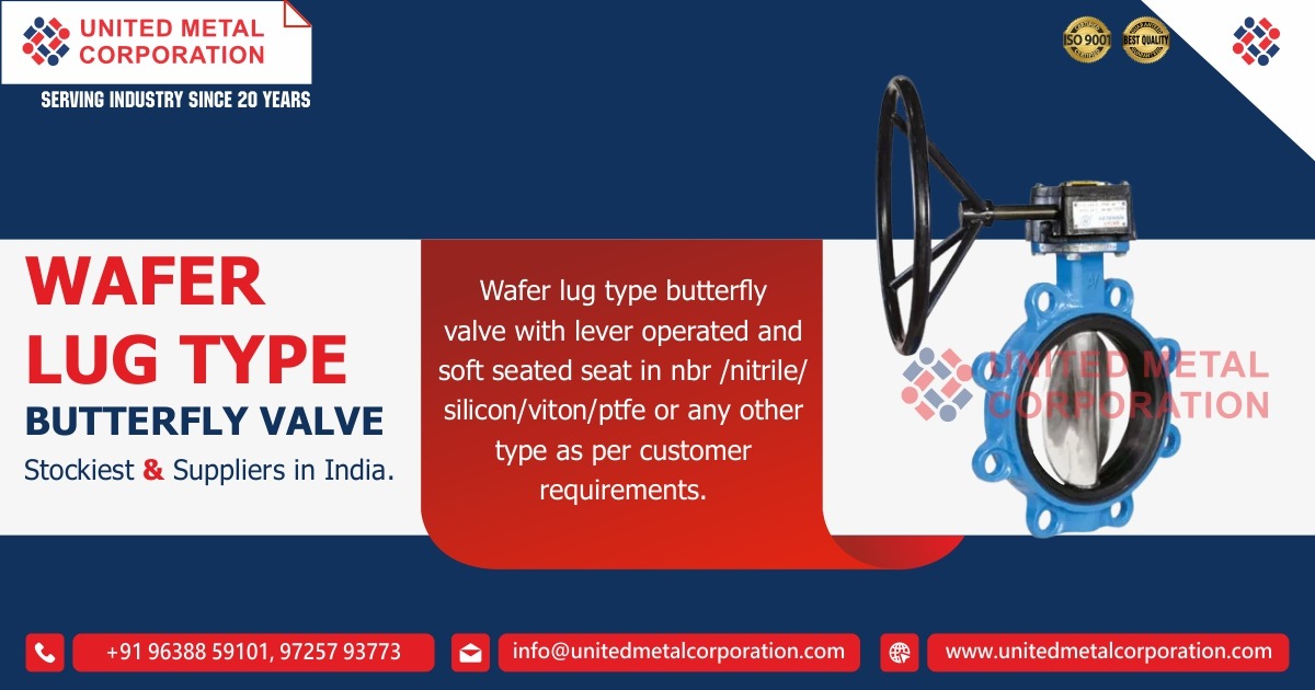 Wafer Lug Type Butterfly Valves Manufacturer & Suppliers In Ahmedabad