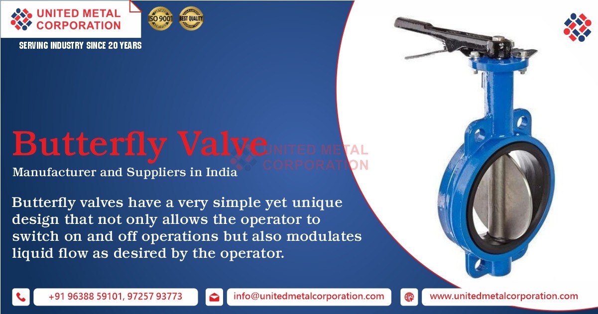 Butterfly Valves Manufacturer in Ahmedabad