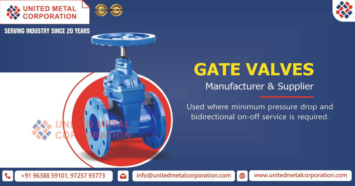 Gate Valves Supplier in Ahmedabad, Gujarat, India