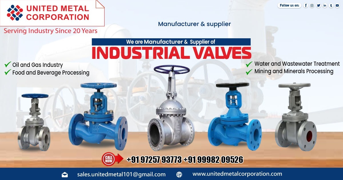 Supplier of Industrial Valve in Gujarat