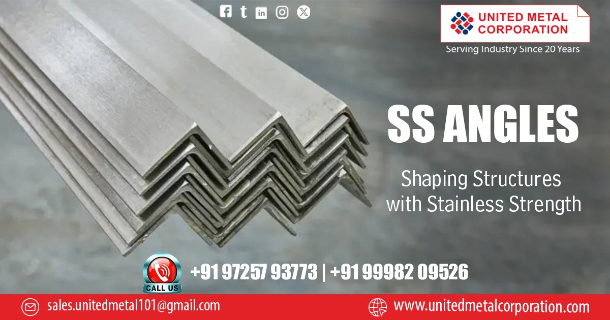 Stainless Steel Angle in Bihar