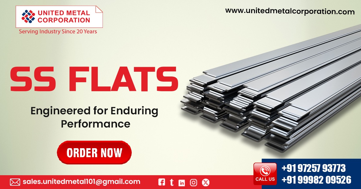 Stainless Steel Flat in Chhattisgarh
